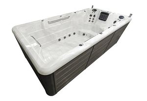 Platinum Spas Swim Spa - Eros Pro Swim Spa