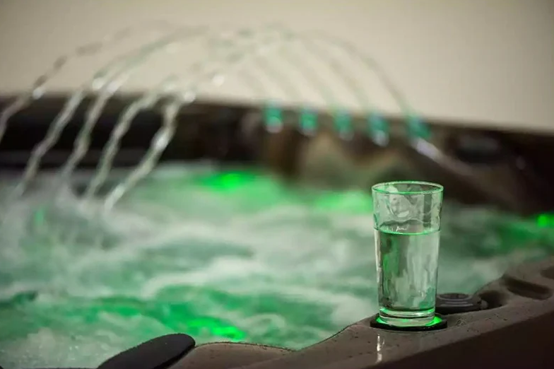 Platinum Spas Swim Spa - Zelus Swim Spa