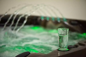 Platinum Spas Swim Spa - Zelus Swim Spa